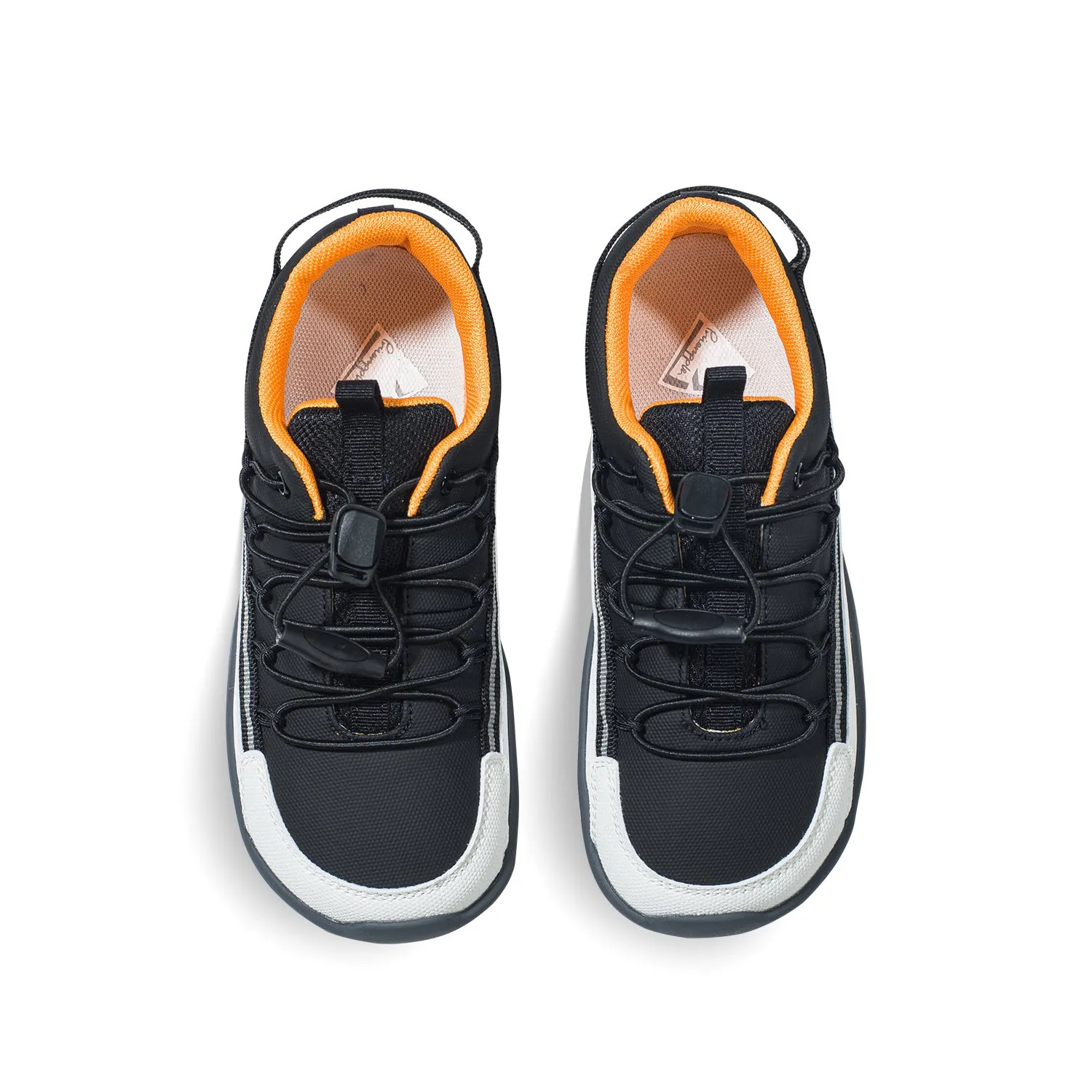 Hervey Black PS